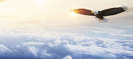 首页| 和记H88集团怡情博娱官网